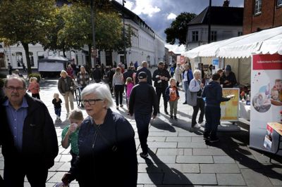 Den årlige FRI-dag samlede i september mere end 40 frivillige organisationer på Torvet i Herning. Organisationerne skulle ikke kun tiltrække nye frivillige, men også lære af hinanden i nye netværk. Foto: Henrik Ole Jensen