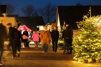 De mange julelys flankerede torvet til seneste julemarked på skolens grund, men nu er det slut. Erhvervsskolen Vestjylland i Borris lukker julemarkedet, som nogle år har tiltrukket op mod 3000 gæster. Foto: PR-foto