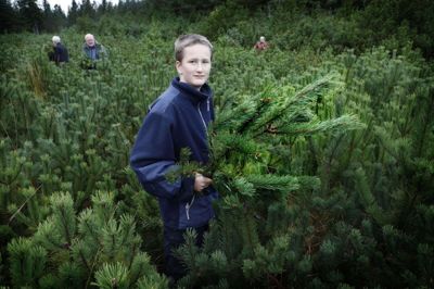Daniel Laursen har været med fire-fem gange før. Han kan godt lide at være udenfor og foretage sig noget. Foto: Henrik Ole Jensen
