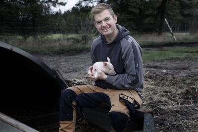 Daniel Jepmond Nielsen elsker sit liv som landmand og producent af økologiske grise. Fra gården Vestergaard Økologi, der ligger mellem Sunds og Ørre, leverer han hvert år omkring 6000 grise til slagteriet, inden dyrene ender som økologisk kød i supermarkedernes kølediske. Foto: Henrik Ole Jensen