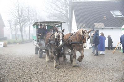 Julemarkedet på Møltrup hører til blandt de mere traditionelle - nogle ville sige »gammeldaws« - markeder, hvor gårdspladsen kaster ekko fra hovene, når heste trækker vogne med børn og voksne rundt på matriklen. Midt på pladsen foregår salget af juletræer, og den tågede novemberdag duftede der fra teltene af pandekager, brændte mandler og risengrød. Foto: Malene Tswai
