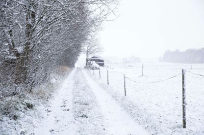Onsdag faldt sneen i det meste af Folkebladets dækningsområde. Folkeblads-fotograf Malene Tswai justerede hvidbalancen på sit kamera og fangede vinterens første snefald.