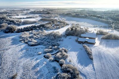 Begyndelsen af december har været usædvanligt kold, men vejret ændrer sig snart. Her er vi ved Rind Plantage. Dronefoto: Tom Laursen