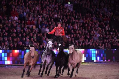 Arrangørerne lover, at der er store oplevelser i vente, når Dansk Varmblods Hingstekåring med gallashow og meget mere udspiller sig i MCH Messecenter Herning og Jyske Bank Boxen. pr-Foto: Ridehesten.com