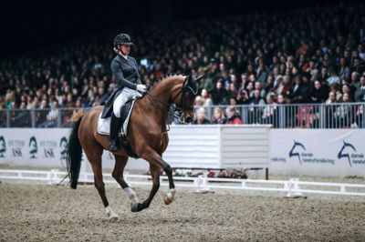 Dansk Varmblods Hingstekåring og messen Hest & Rytter blev igen en kæmpe succes i MCH Messecenter Herning, som havde besøg af over 60.000 gæster. På billedet Anna Zibrandtsen på dressurhesten Quel Filou. Foto: Chresten Bergh
