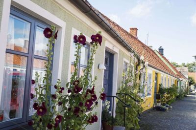 Gamle velholdte huse, stokroser og toppede brosten præger de ældre kvarterer i Simrishamn. Foto: Carolina Romare/Visit Skåne