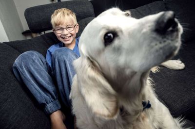 En glad syvårig August, der begynder i 1. klasse på Midtjyllands Kristne Friskole efter sommerferien, og som forhåbentlig kan lægge et langt sygdomsforløb endeligt bag sig. Han er fotograferet sammen med golden retrieveren Olaf, der er opkaldt efter en af figurerne i Augusts yndlings Disney-film, »Frost«. Foto: Chresten Bergh