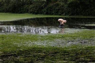 En norsk dreng ledte efter noget ude i en af de »søer«, cuppen havde skabt ud for bane 13. Foto: Henrik Ole Jensen