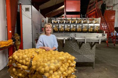 Hver uge bliver der pakket 45 ton kartofler hos Danorganic i Sdr. Felding. På billedet ses daglig leder Lene Mejlvang. Økologiske kartofler sælger ikke som førhen alene ved øko mærket. Kartoflerne skal også være flotte, før forbrugerne køber dem.