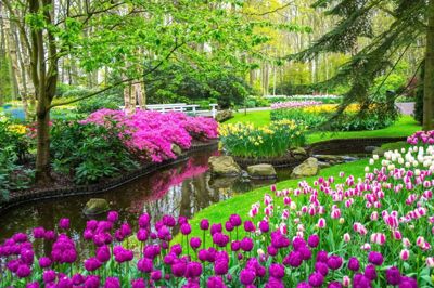 Blomsterparken Keukenhof er et vidunderligt skue med sine mange farver, dufte og eventyrlige opstillinger.