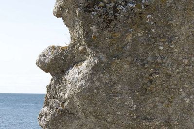 Naturen på Gotland er fantastisk og utrolig varieret. Øen ånder af både mystik, eventyr og charme, og flere krimifortfattere har da også brugt Gotland i deres bøger.