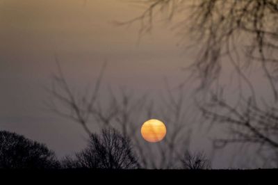 Det tager Jorden 365,242 dage at bevæge sig rundt om Solen, og det giver knap én dag i overskud hvert fjerde år. Det er den ekstra dag, som vi kender som 29. februar. Foto: Mads Claus Rasmussen/Ritzau Scanpix