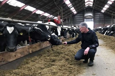 Jørgen Pedersen har som økologisk mælkeproducent ikke mange håndtag at skrue på for at nedbringe CO2-udledningen, og han mener, at den fremlagte Michael Svarer-rapport har alt for lidt fokus på de økologiske landbrug.