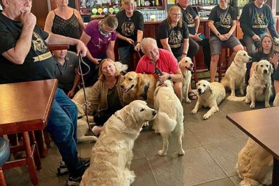 Efter fri leg og snus i hundeskoven ved Sunds havde 16 golden retrievere sat hinanden stævne på Fox and Hounds - og inviteret deres mennesker med. Privatfoto