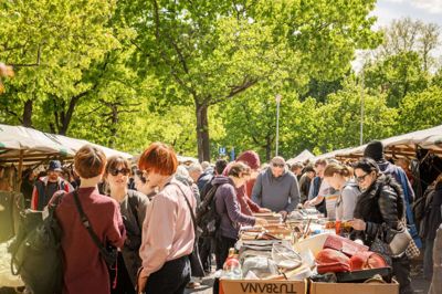Der gemmer sig mange spændende ting på loppemarkederne i Berlin. Det er bare med at gå på jagt i de store papkasser. Dagmar Schwell/Ritzau Scanpix