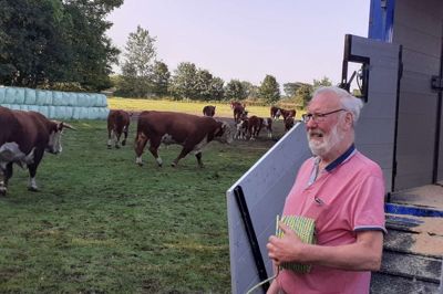 Sidste dag med Hereford-kvæget. Ejvind Riis vil ikke følge myndighedernes krav og lave en møddingsplads. Tirsdag fulgte han Herning Kommunes påbud og fik kvæget kørt væk.