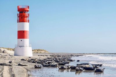 Dünens beskedne 0,70 kvadratkilometer har fine sandstrande, som badegæster må dele med en stor sælkoloni og måger, som yngler i bagvedliggende klitter.