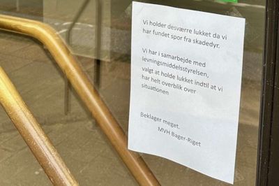 Bagermester Henrik Laursen håber, at der kan genåbnes om få dage i Bagerriget.