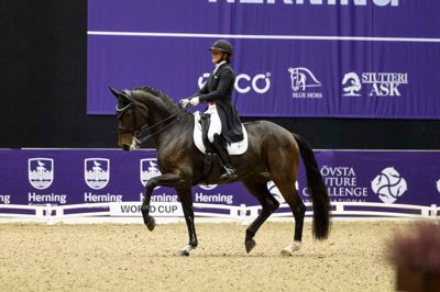 Publikum hyldede med stående applaus vinderen Cathrine Laudrup-Dufour og den 15-årige hoppe Mount St. John Freestyle i Jyske Bank Boxen. Foto: Worldcupherning/Annette Østergaard