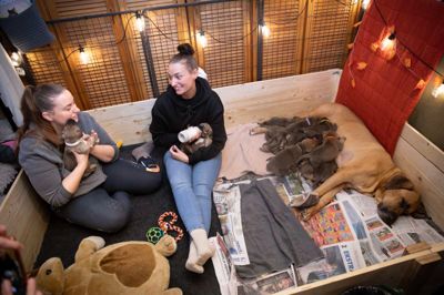 Søstrene skiftes til at være hos hvalpene. Julie (til venstre) har 24 timers vagter i sit job og derfor mange fridage. På fridagene sover hun i fyrrummet og har typisk tjansen fra klokken 20, når hun har puttet og sagt godnat til sine børn, og indtil klokken 12 næste dag, når Sarah kommer fra job.