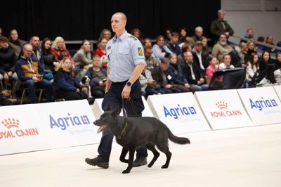 Hundefører Karsten Hav Sørensen med Thor blev lørdag hædret i den store ring ved Dansk Kennel Klubs udstilling i MCH Messecenter Herning.