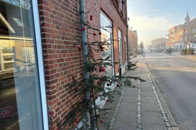 Forpjusket eller ej - alle Bredgades juletræer bidrager til julestemningen.