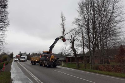 Træer langs Skjernvej gennem Arnborg blev trimmet og fældet for at give plads for fredagens særtransport af en 11 meter bred nacelle fra Siemens Gamesa i Brande.