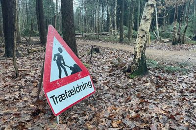 Herning Kommunes udvalg for miljø-, infrastruktur og natur har sat gang i en landzoneproces for en virksomhed, der er beskæftiget med skovdrift og træfældning syd for Høgild.