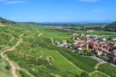 Alsace er kendt for sine vinmarker, de maleriske bindingsværkshuse og en unik kultur, der blander franske og tyske traditioner.