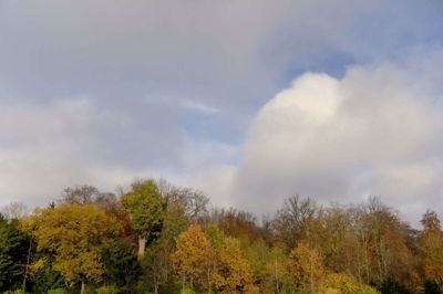 Danmark får en vejrmæssigt mild start på november måned, siger meteorolog fra DMI mandag morgen. (Arkivfoto).