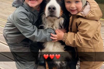 Mine to sønner, Willum og Vincent, i en herlig stund med Nora, som vi mistede 5.november. Hun blev seks år.