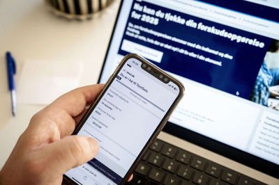 - Der kan ikke logges ind på hjemmesider som for eksempel skat.dk, borger.dk og sundhed.dk, lyder det. (Arkivfoto).