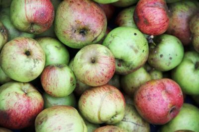 Frugtproducenter får en hjælpende hånd til at hente øgede CO2-omkostninger ind igen.
