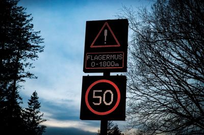 Efter mørkets frembrud er den tilladte hastighedsgrænse på Nordskovvej 50 kilometer i timen. Den lavere fartgrænse er sat af hensyn til fredede flagermus, som flyver i området, når det er mørkt. Vurderingen er, at de lettere kan undgå at klaske ind i en bil, der kører med den lavere hastighed. Den lave fartgrænse var et krav, da der blev givet dispensation til en vejføring i skoven.