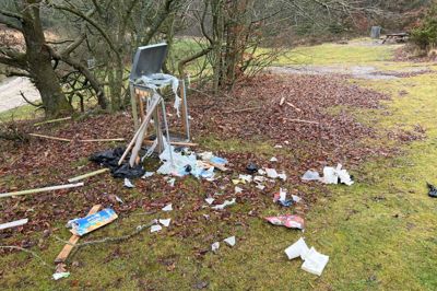 Affald flød onsdag på jorden ved Birkesø, fordi skraldespandene havde været udsat for hærværk.