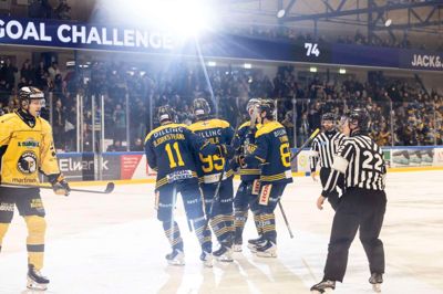 22 sejre i 24 kampe lyder den imponerende Blue Fox-stime i denne sæson. Der er indført enevælde i Metal Ligaen.