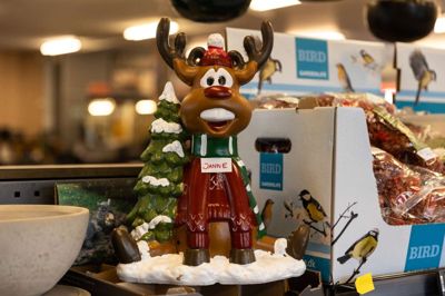 Her er den piftende nisse, som jo egentlig er et rensdyr. Men han bliver omtalt som en nisse af butiksassistent Janne Sørensen, som har sat sit navn på ham, så han ikke pludselig risikerer at blive solgt hos XL-Byg.