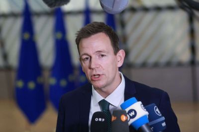 Udlændinge- og integrationsminister Rasmus Stoklund (S) kalder fætter-kusine-ægteskaber for en patriarkalsk tradition. (Arkivfoto).