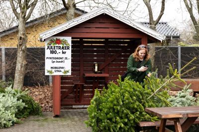 Det er ret smart, at man bare lige kan suse hen for at købe et juletræ, hvis man opdager klokken kvart i julemiddag, at man har glemt det.