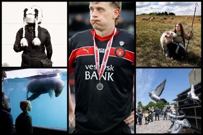 Folkebladets fotografer har valgt deres bedste billeder fra året, der snart er gået.