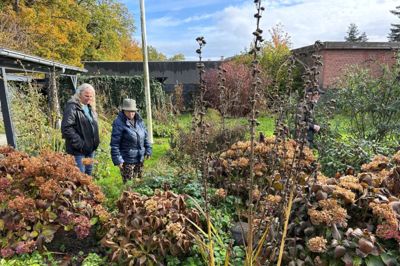 Jessica Albertsen - med hat - viser Pernille Ingemann fra Danmarks Naturfredningsforening rundt i sin have. Her er kommet masser af vildskab.