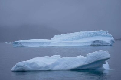 Is i vandet nær byen Narsaq i Grønland. Ny forskning viser, at ekstreme vejrhændelser kan skade økosystemerne mere end den gradvise opvarmning.