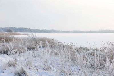 Selv om det har været frostvejr i nogle dagen, er isen på søerne ifølge politiet ikke sikker nok til, at man kan færdes på dem.