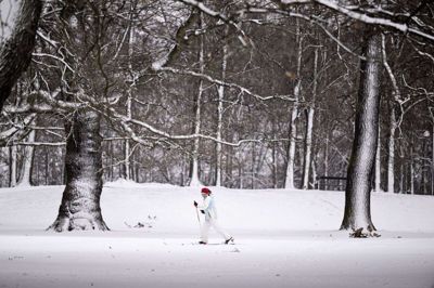 Langrendsløber i Søndermarken på Frederiksberg i januar 2024. Nu - to år efter - kan man igen smøre skiene flere steder i og omkring hovedstadsområdet. (Arkivfoto).