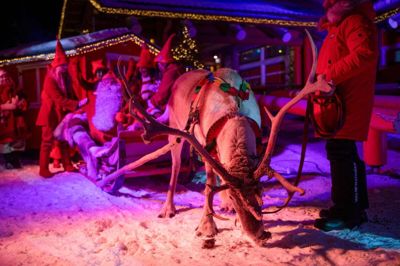 Af mange finnere betragtes Rovaniemi i Finlands Lapland som julemandens hjem, og i december var der julearrangement med rensdyr i byen. En kuldebølge har medført, at en enkelt afgang fra Rovaniemi søndag var aflyst, mens alle afgange fra lufthavnen i Kittilä, som ligger længere nordpå, var aflyst. (Arkivfoto).
