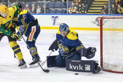 Mathias Seldrup fik lukket af mod Aalborg Pirates, så Blue Fox holdt nullet og vandt 2-0.