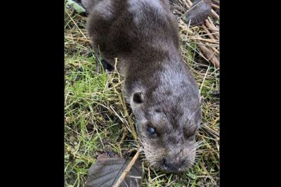 Foto: Nina Tofte Hansen