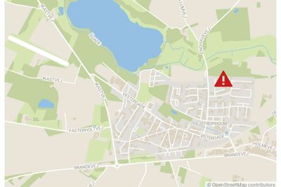 Det var på Syrenvej - i udkanten af Ejstrupholm - at ulven kom på uventet besøg i en baghave.