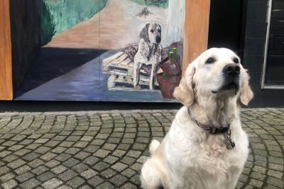 Butikshunden Berta poserer her foran et foto af butikshunden Berta.