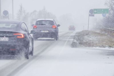 Der er faldet meget sne på Falster, her fotograferet mandag. Natten til tirsdag er der faldet mellem 10 og 15 centimeter sne på Falster, siger DMI tirsdag morgen. (Arkivfoto).